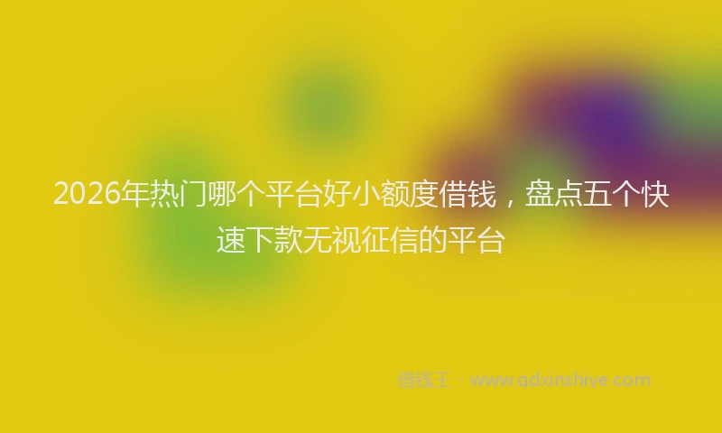 2026年热门哪个平台好小额度借钱，盘点五个快速下款无视征信的平台
