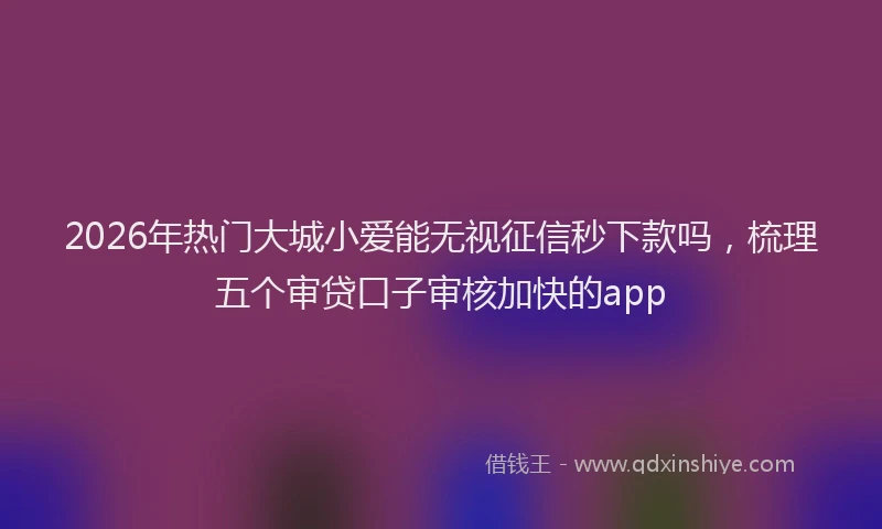 2026年热门大城小爱能无视征信秒下款吗，梳理五个审贷口子审核加快的app