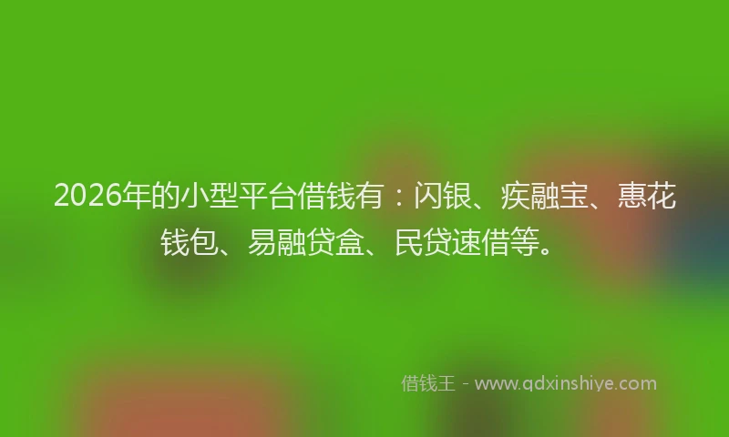 2026年的小型平台借钱有：闪银、疾融宝、惠花钱包、易融贷盒、民贷速借等。