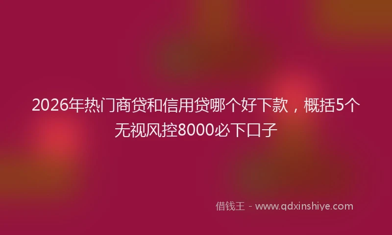 2026年热门商贷和信用贷哪个好下款，概括5个无视风控8000必下口子
