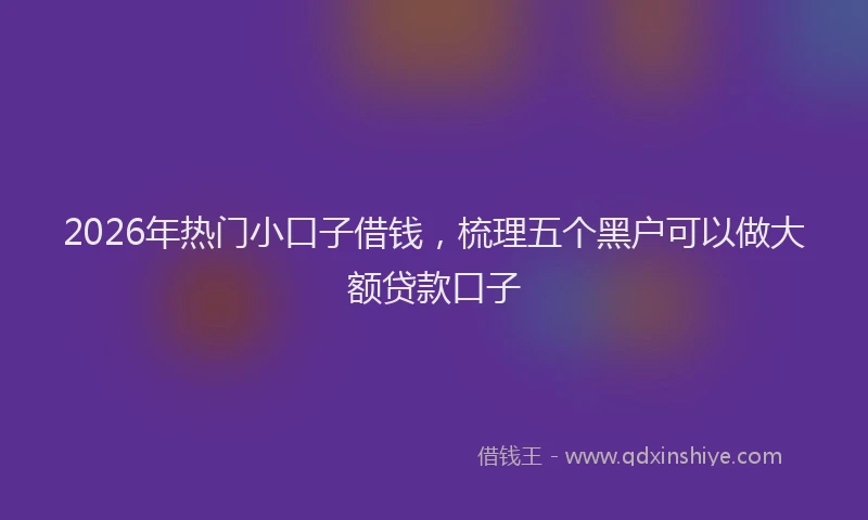 2026年热门小口子借钱，梳理五个黑户可以做大额贷款口子