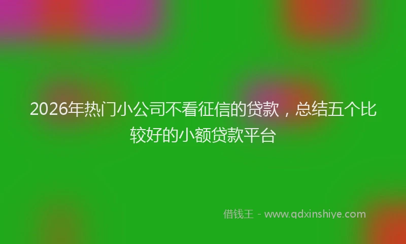 2026年热门小公司不看征信的贷款，总结五个比较好的小额贷款平台