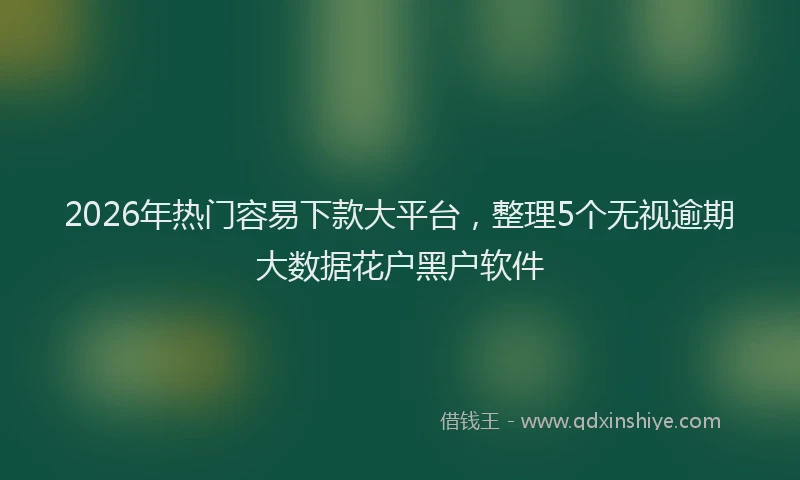 2026年热门容易下款大平台，整理5个无视逾期大数据花户黑户软件