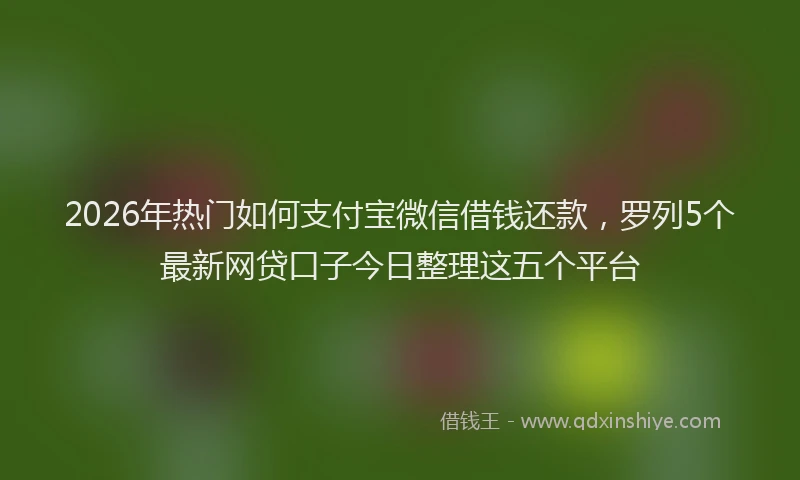 2026年热门如何支付宝微信借钱还款，罗列5个最新网贷口子今日整理这五个平台