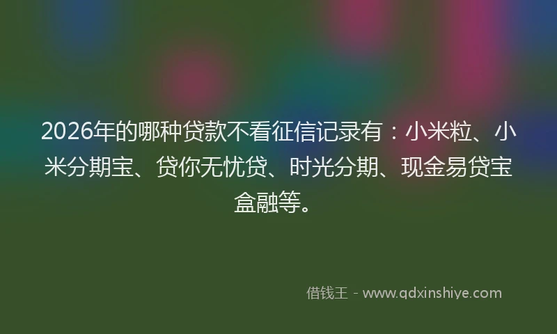 2026年的哪种贷款不看征信记录有：小米粒、小米分期宝、贷你无忧贷、时光分期、现金易贷宝盒融等。