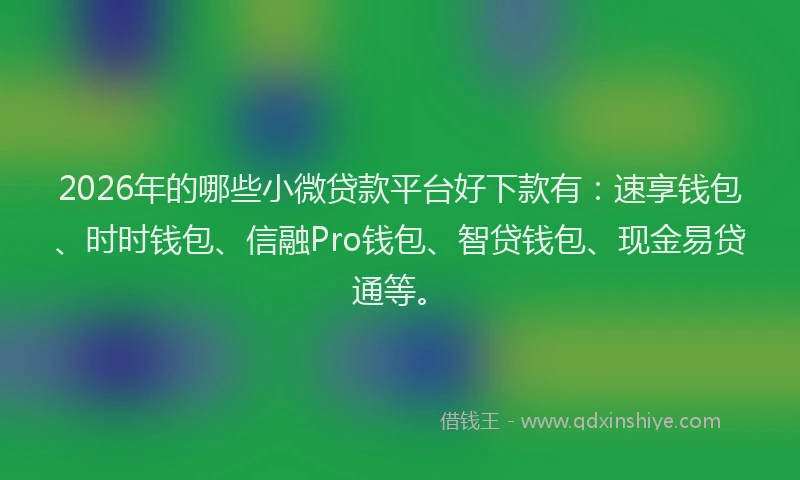 2026年的哪些小微贷款平台好下款有：速享钱包、时时钱包、信融Pro钱包、智贷钱包、现金易贷通等。