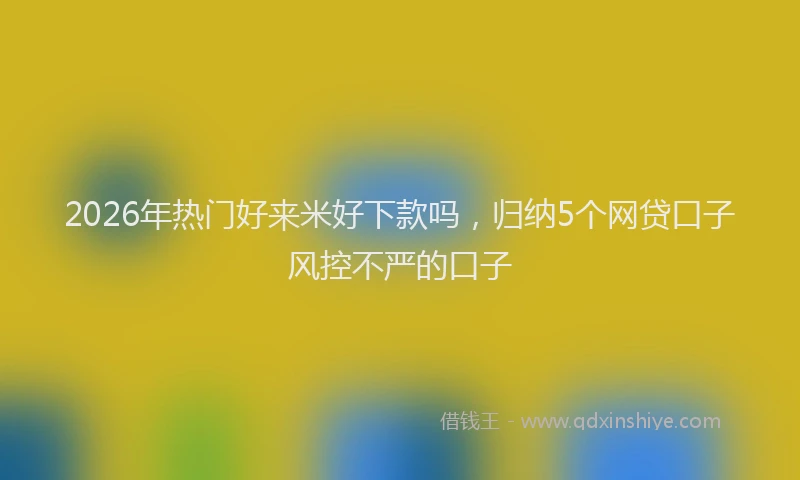 2026年热门好来米好下款吗，归纳5个网贷口子风控不严的口子