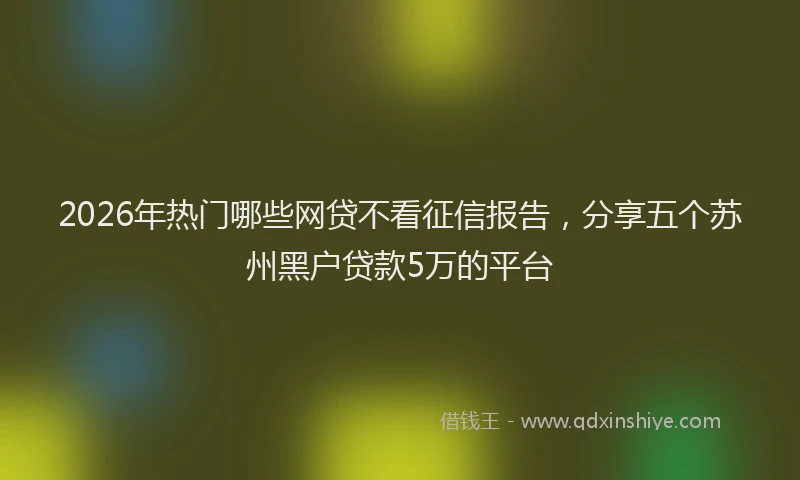 2026年热门哪些网贷不看征信报告，分享五个苏州黑户贷款5万的平台