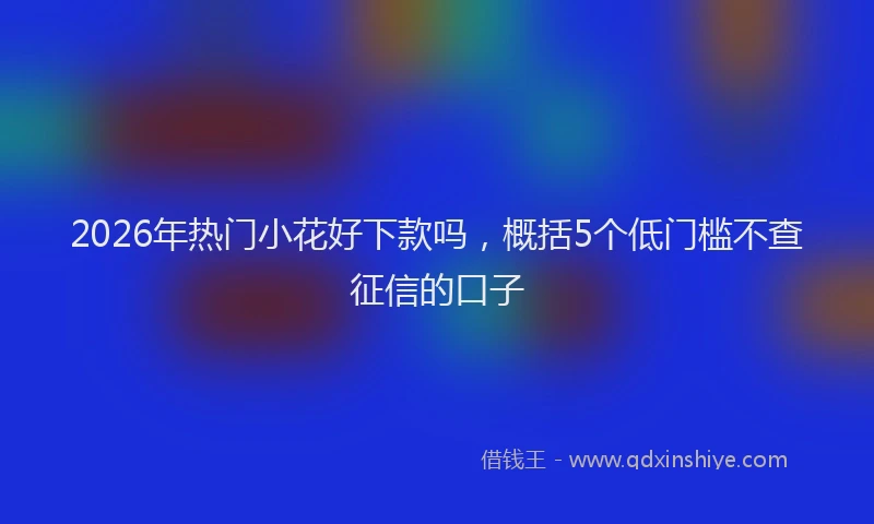 2026年热门小花好下款吗,概括5个低门槛不查征信的口子