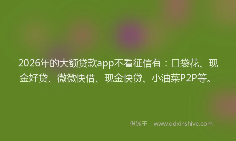 2026年的大额贷款app不看征信有：口袋花、现金好贷、微微快借、现金快贷、小油菜P2P等。