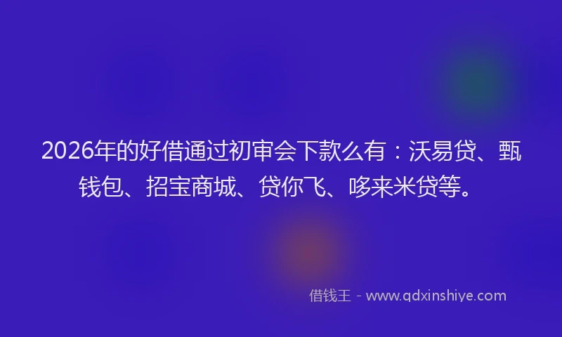 2026年的好借通过初审会下款么有：沃易贷、甄钱包、招宝商城、贷你飞、哆来米贷等。