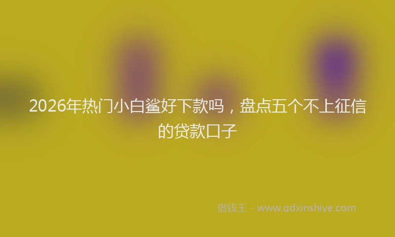 2026年热门小白鲨好下款吗，盘点五个不上征信的贷款口子