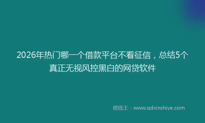 2026年热门哪一个借款平台不看征信，总结5个真正无视风控黑白的网贷软件