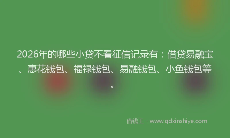 2026年的哪些小贷不看征信记录有：借贷易融宝、惠花钱包、福禄钱包、易融钱包、小鱼钱包等。