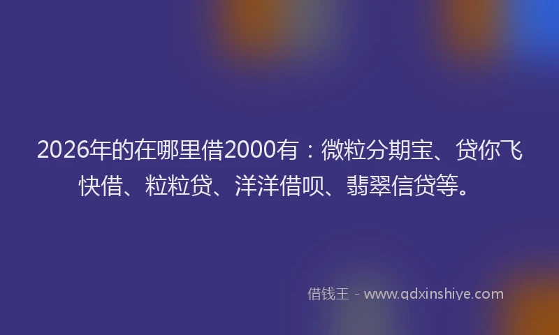 2026年的在哪里借2000有：微粒分期宝、贷你飞快借、粒粒贷、洋洋借呗、翡翠信贷等。