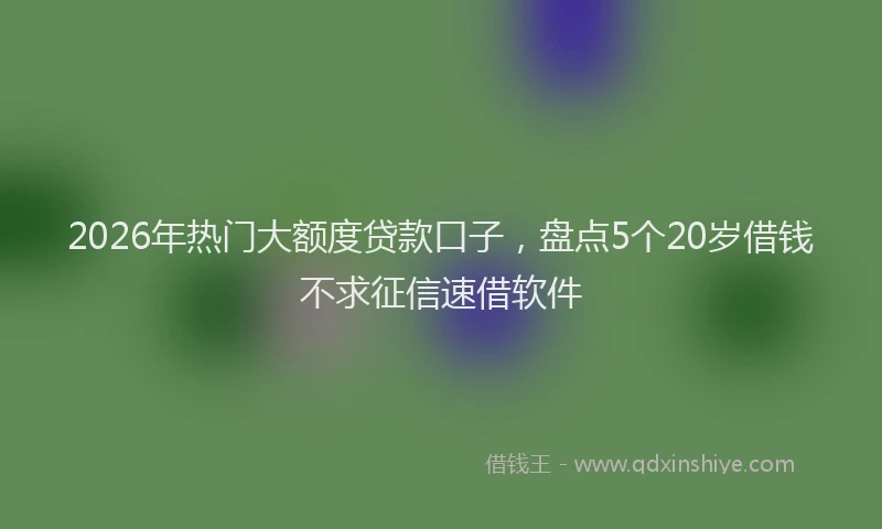 2026年热门大额度贷款口子，盘点5个20岁借钱不求征信速借软件