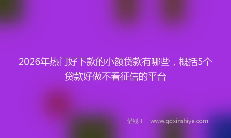 2026年热门好下款的小额贷款有哪些，概括5个贷款好做不看征信的平台