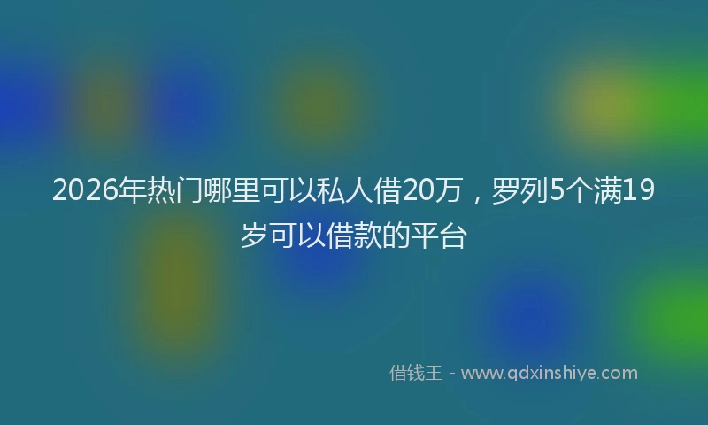 2026年热门哪里可以私人借20万，罗列5个满19岁可以借款的平台