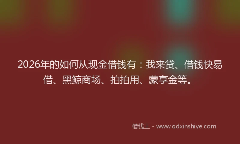 2026年的如何从现金借钱有:我来贷、借钱快易借、黑鲸商场、拍拍用、蒙享金等。