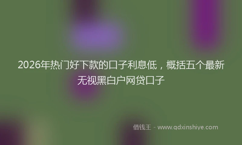 2026年热门好下款的口子利息低，概括五个最新无视黑白户网贷口子