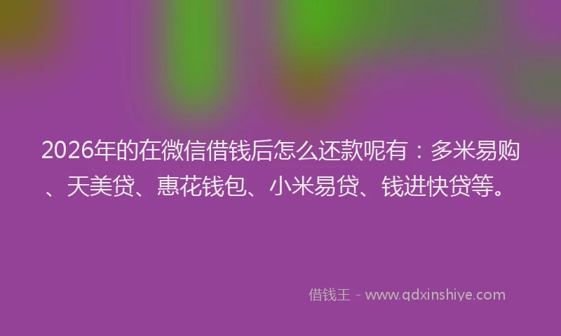 2026年的在微信借钱后怎么还款呢有：多米易购、天美贷、惠花钱包、小米易贷、钱进快贷等。