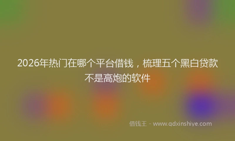 2026年热门在哪个平台借钱，梳理五个黑白贷款不是高炮的软件