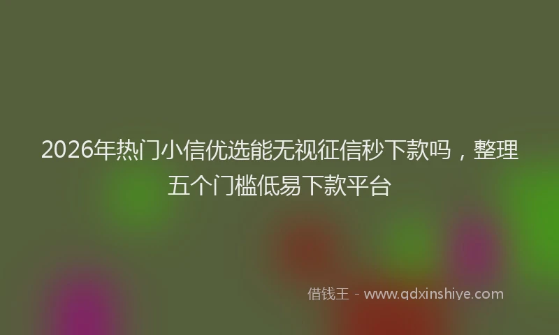 2026年热门小信优选能无视征信秒下款吗，整理五个门槛低易下款平台