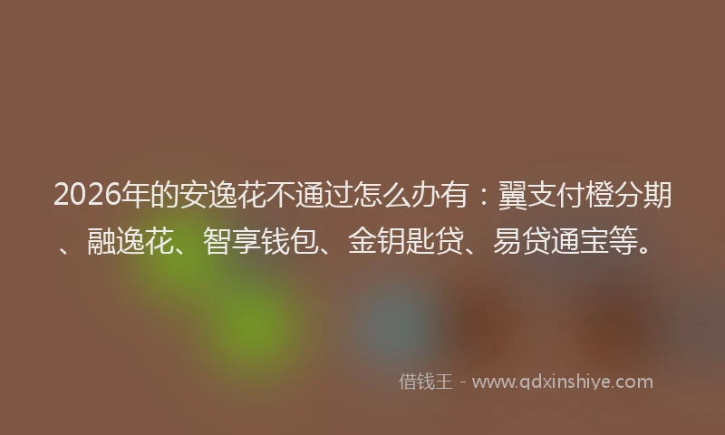 2026年的安逸花不通过怎么办有：翼支付橙分期、融逸花、智享钱包、金钥匙贷、易贷通宝等。