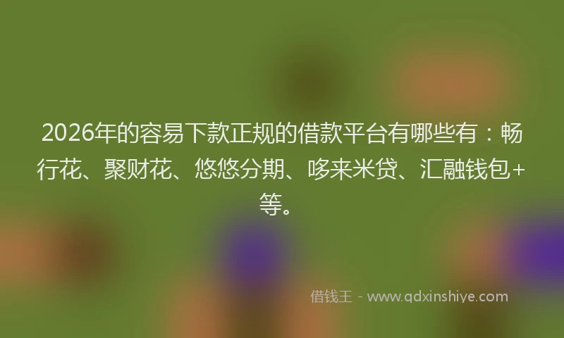 2026年的容易下款正规的借款平台有哪些有:畅行花、聚财花、悠悠分期、哆来米贷、汇融钱包+等。