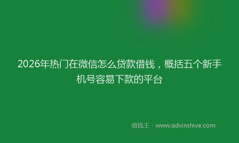 2026年热门在微信怎么贷款借钱，概括五个新手机号容易下款的平台