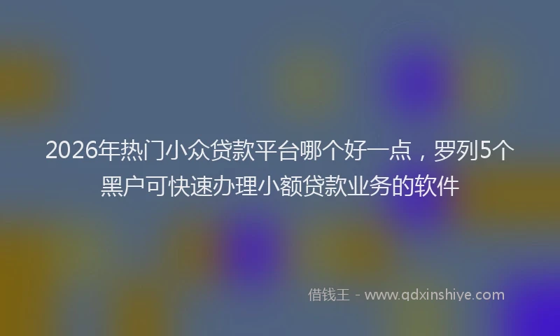 2026年热门小众贷款平台哪个好一点，罗列5个黑户可快速办理小额贷款业务的软件