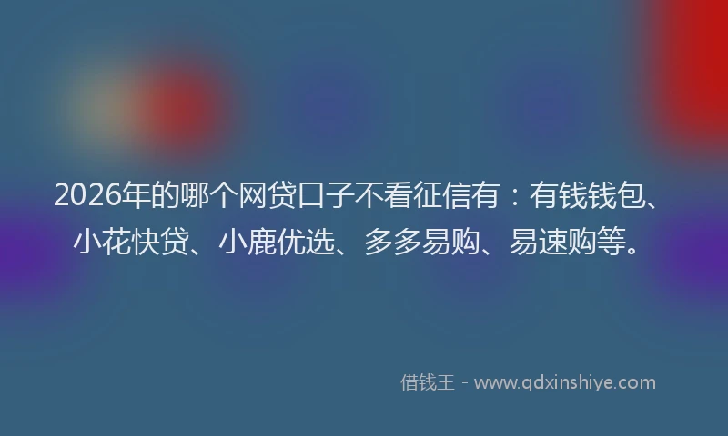 2026年的哪个网贷口子不看征信有：有钱钱包、小花快贷、小鹿优选、多多易购、易速购等。