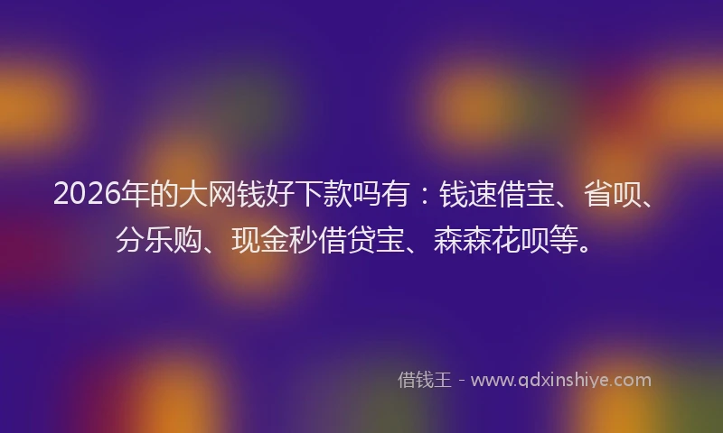 2026年的大网钱好下款吗有：钱速借宝、省呗、分乐购、现金秒借贷宝、森森花呗等。
