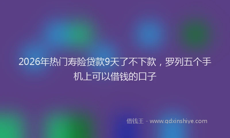 2026年热门寿险贷款9天了不下款，罗列五个手机上可以借钱的口子