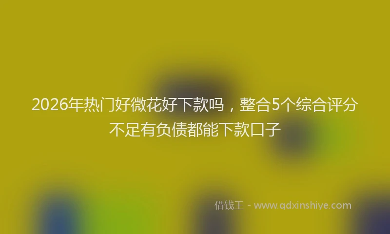 2026年热门好微花好下款吗，整合5个综合评分不足有负债都能下款口子
