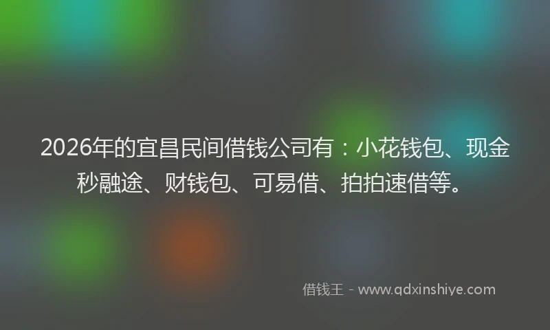 2026年的宜昌民间借钱公司有：小花钱包、现金秒融途、财钱包、可易借、拍拍速借等。