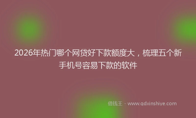 2026年热门哪个网贷好下款额度大，梳理五个新手机号容易下款的软件