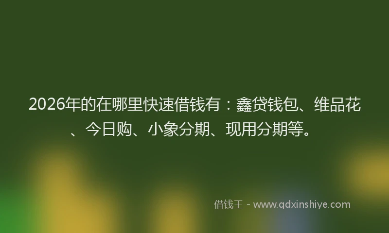 2026年的在哪里快速借钱有：鑫贷钱包、维品花、今日购、小象分期、现用分期等。