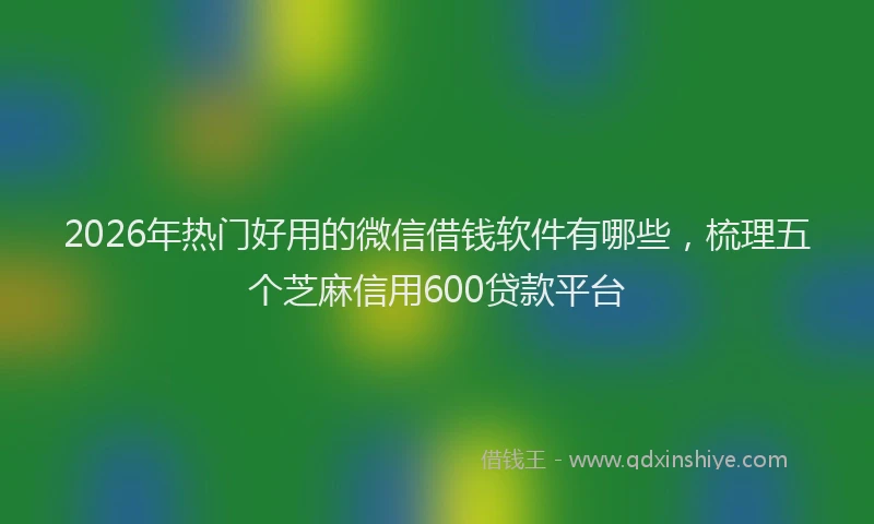 2026年热门好用的微信借钱软件有哪些，梳理五个芝麻信用600贷款平台