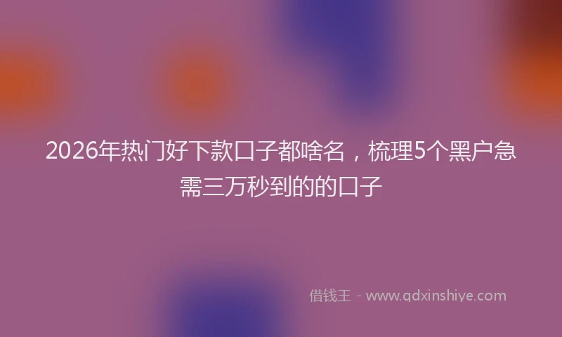2026年热门好下款口子都啥名，梳理5个黑户急需三万秒到的的口子