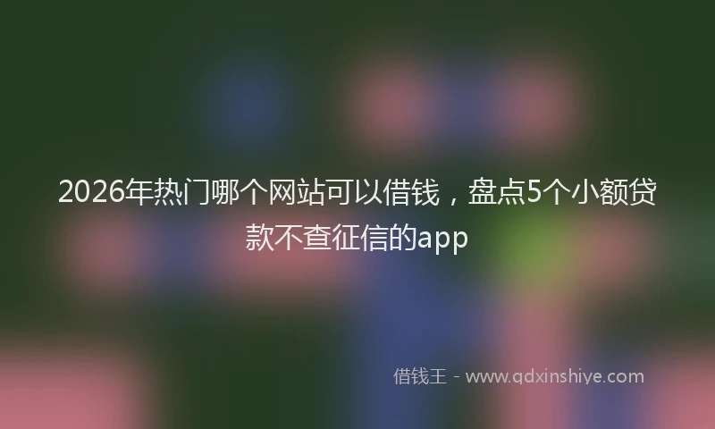 2026年热门哪个网站可以借钱，盘点5个小额贷款不查征信的app
