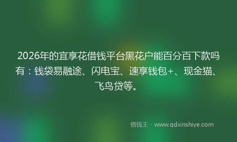 2026年的宜享花借钱平台黑花户能百分百下款吗有：钱袋易融途、闪电宝、速享钱包+、现金猫、飞鸟贷等。