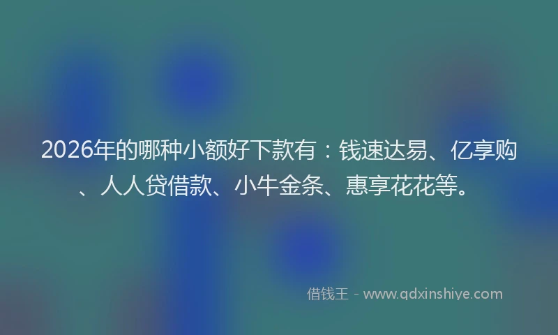 2026年的哪种小额好下款有：钱速达易、亿享购、人人贷借款、小牛金条、惠享花花等。