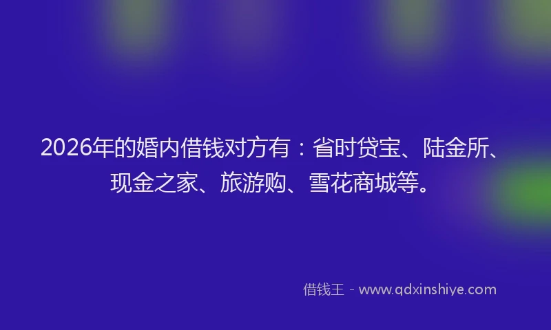 2026年的婚内借钱对方有：省时贷宝、陆金所、现金之家、旅游购、雪花商城等。