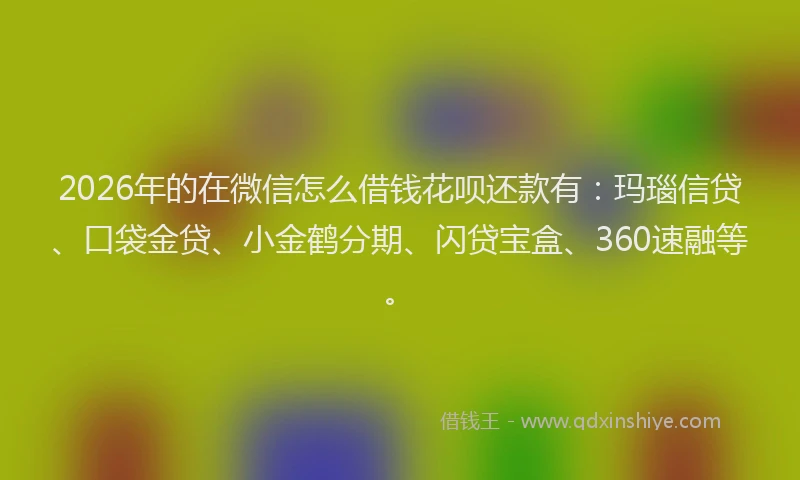 2026年的在微信怎么借钱花呗还款有：玛瑙信贷、口袋金贷、小金鹤分期、闪贷宝盒、360速融等。