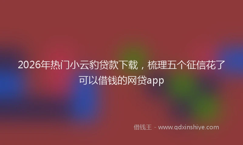 2026年热门小云豹贷款下载，梳理五个征信花了可以借钱的网贷app