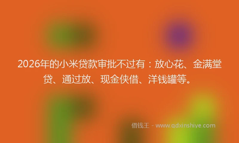 2026年的小米贷款审批不过有:放心花、金满堂贷、通过放、现金侠借、洋钱罐等。