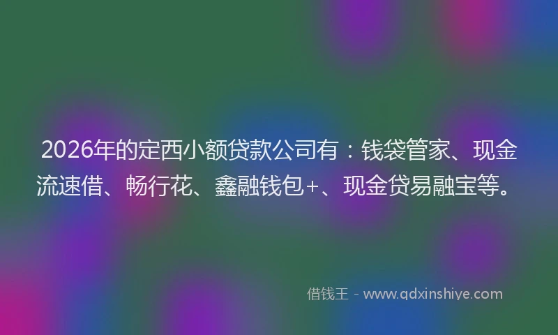 2026年的定西小额贷款公司有：钱袋管家、现金流速借、畅行花、鑫融钱包+、现金贷易融宝等。