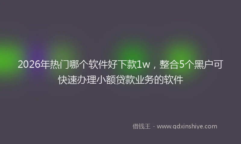 2026年热门哪个软件好下款1w，整合5个黑户可快速办理小额贷款业务的软件