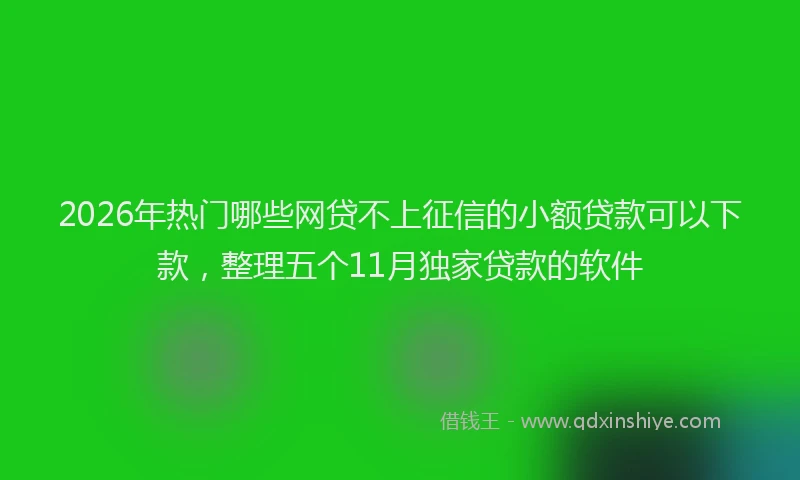 2026年热门哪些网贷不上征信的小额贷款可以下款，整理五个11月独家贷款的软件
